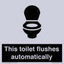 this-toilet-flushes-automatically~